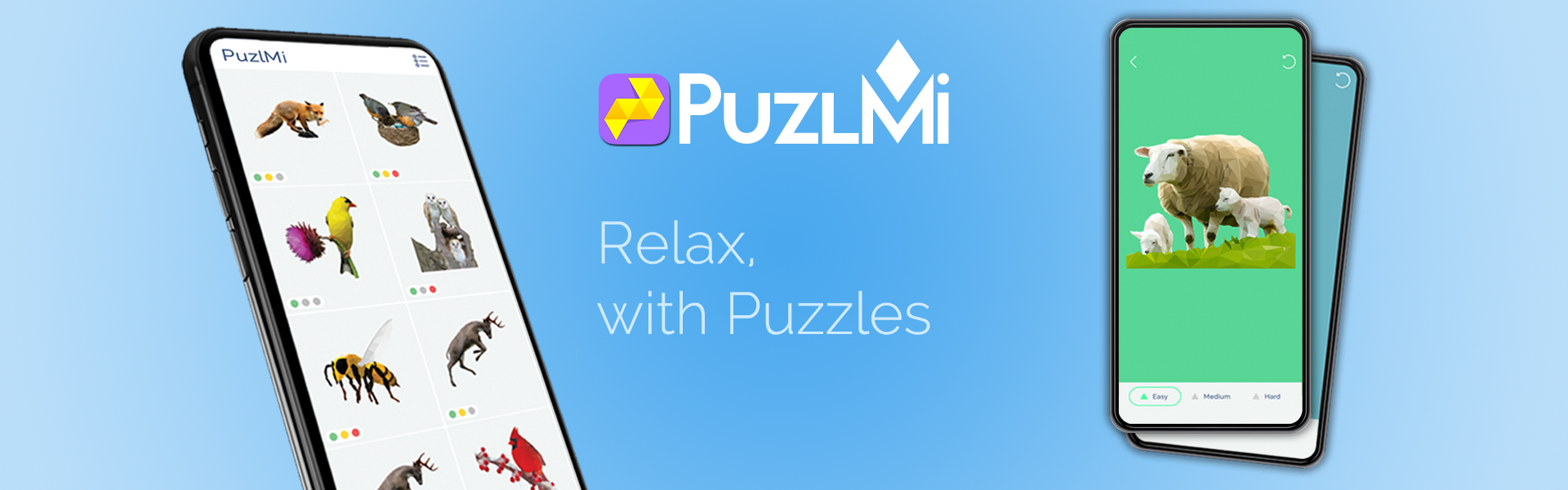 The Relaxing Puzzle Experience